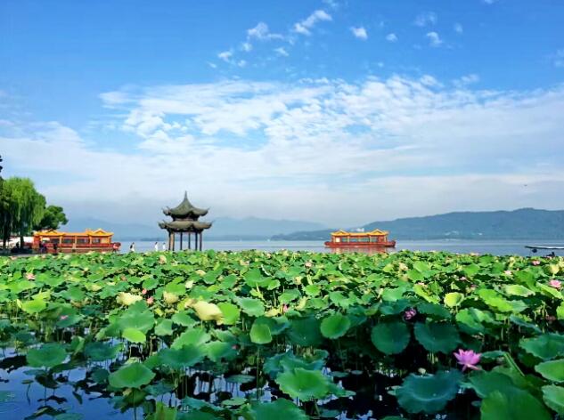 杭州推进生态、生产、生活融合 铺展“湿地水城·大美杭州”新画