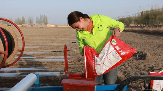 Working people in Xinjiang enjoy labor rights: official