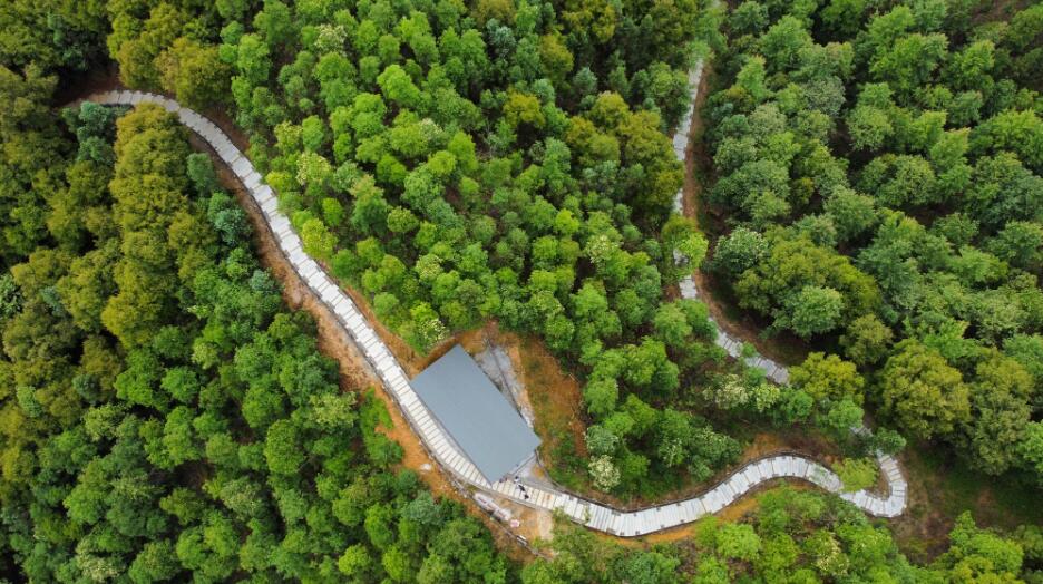 港人遊玩增添好去處　粵20個省級森林生態綜合示範園開放