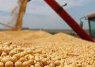 俄罗斯呼吁加快解除俄农产品和肥料出口限制