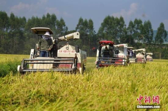 Sanya hybrid rice project exceeds 2,000 kilograms per mu