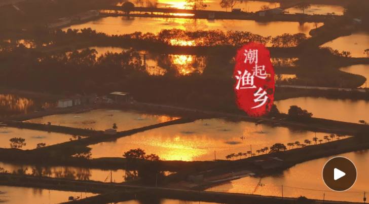 潮起渔乡，粼粼新梦 | 岭南行记