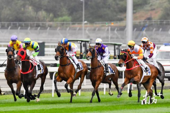 广州：“马城”归来