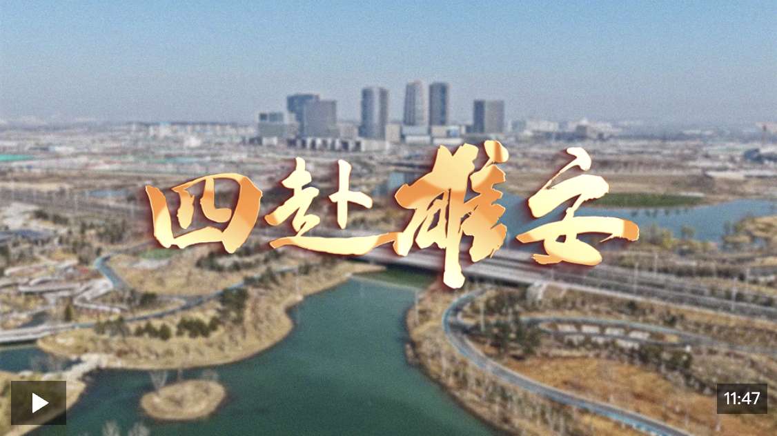 时政专题片丨四赴雄安