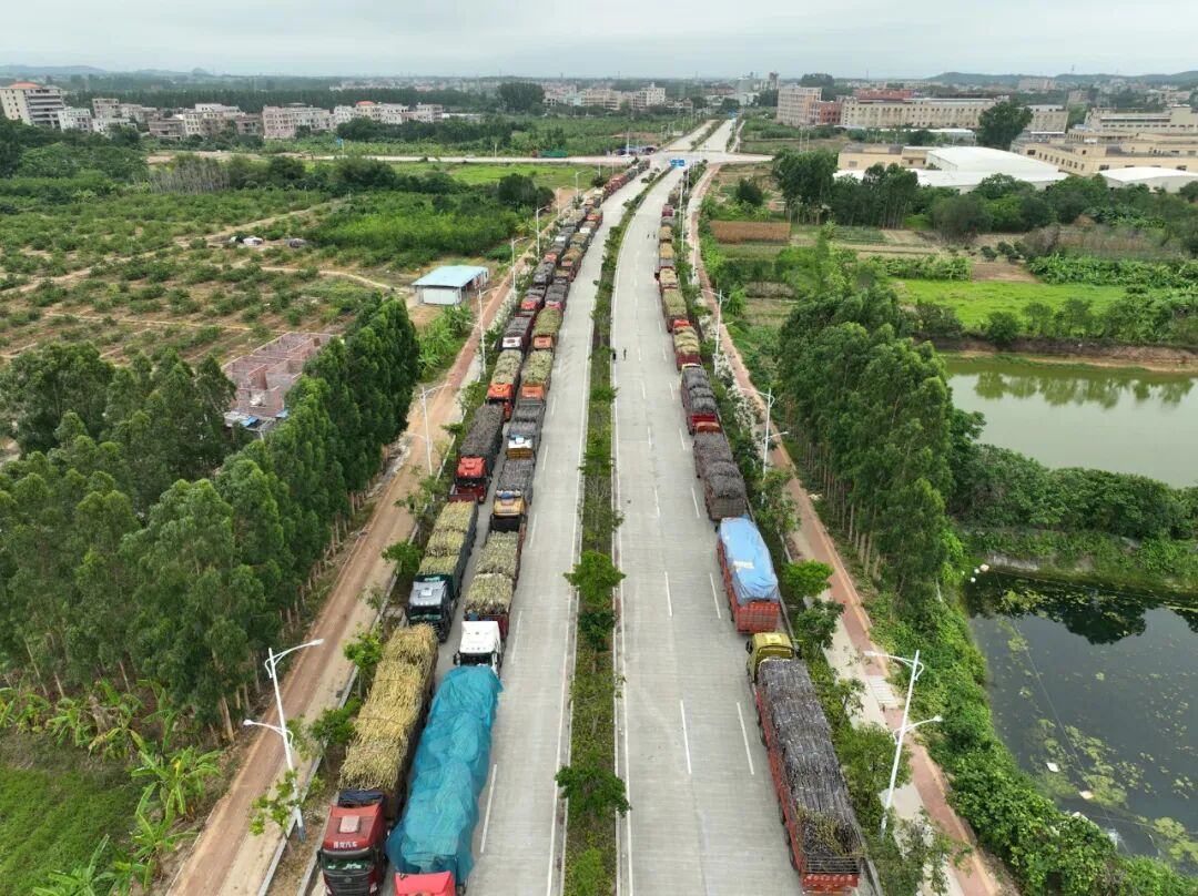 包司机三餐！数百辆货车涌进全网最暖糖厂